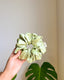 Green Satin Eco-Scrunchie