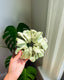 Green Satin Eco-Scrunchie