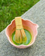 The Debut Matcha Bowl