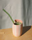 The Strawberry Milk Tumbler
