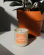 Vanilla Gingerbread & Chai Spice Soy Candle