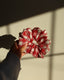 The Rosy Hearts Scrunchie